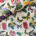 Carta decorata con farfalle e fiori botanici
