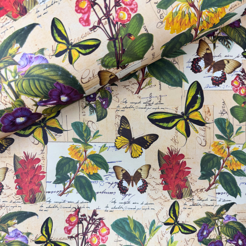 Carta decorata con farfalle e fiori botanici